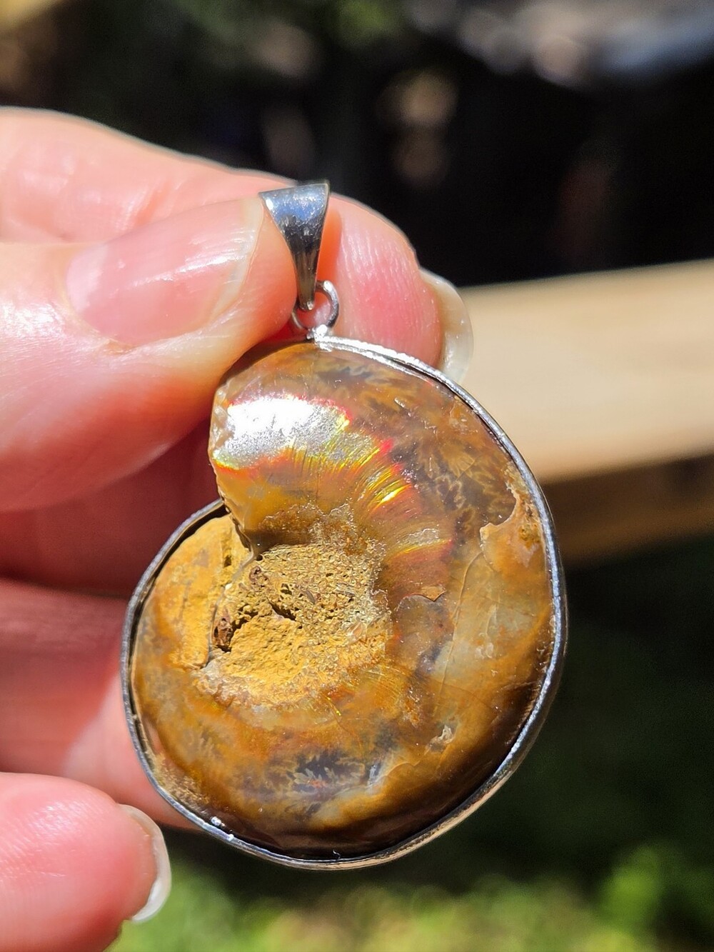 Opalized Ammonite Fossil Sterling Silver Pendant - Picture 6 of 8